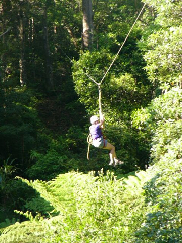 Flying Fox Ride